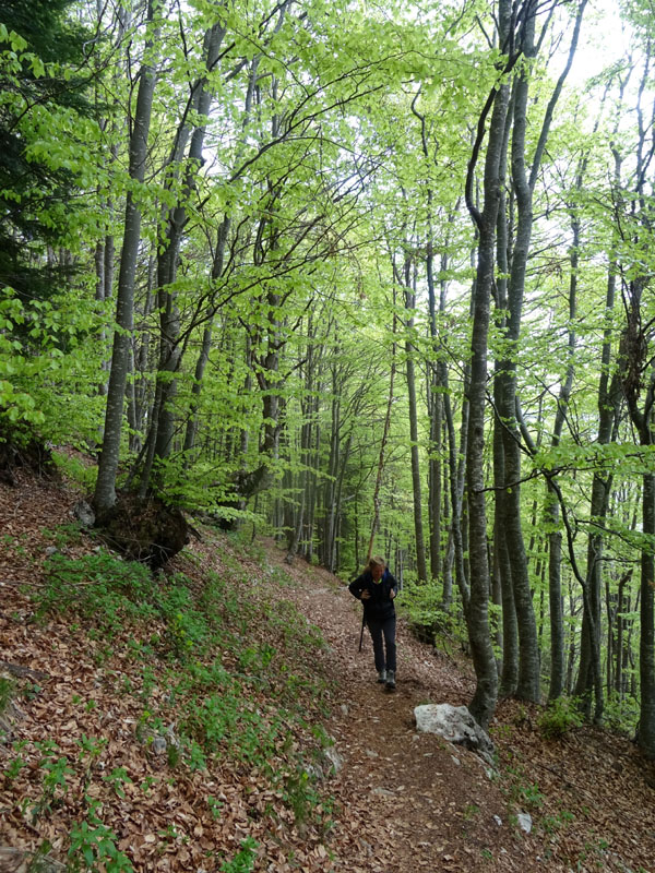 passeggiata: da S.Valentino a M.ga Bes